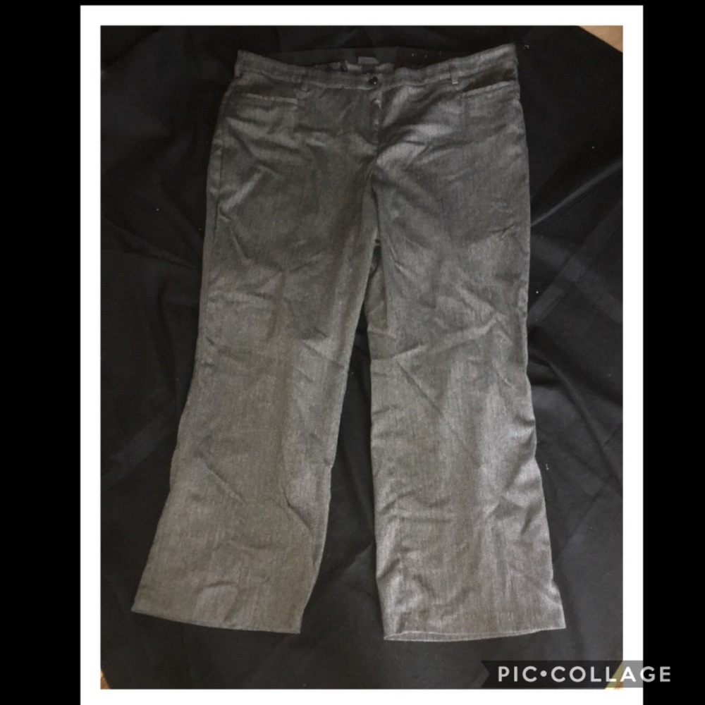 Lane Bryant Classic Trouser Woman's 26 Average NWT